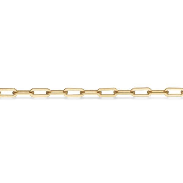 Scrouples Links Guld Double Armbånd ST30016A,M