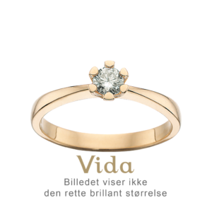 Vida Ring 0,25 ct. i 14 Karat Guld fra Scrouples 7815,25